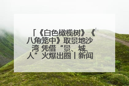 《白色橄榄树》《八角笼中》取景地沙湾 凭借“景、城、人”火爆出圈丨新闻发布最前线