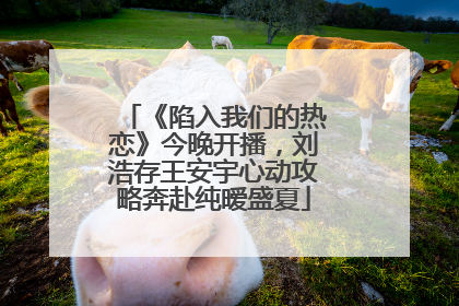 《陷入我们的热恋》今晚开播，刘浩存王安宇心动攻略奔赴纯暧盛夏