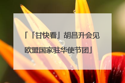 「甘快看」胡昌升会见欧盟国家驻华使节团