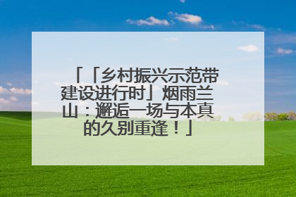 「乡村振兴示范带建设进行时」烟雨兰山：邂逅一场与本真的久别重逢！