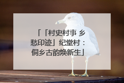 「村史村事 乡愁印迹」纪堂村：侗乡古韵焕新生
