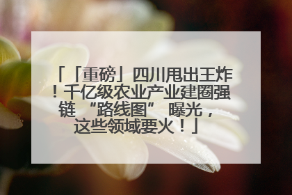 「重磅」四川甩出王炸！千亿级农业产业建圈强链 “路线图” 曝光，这些领域要火！