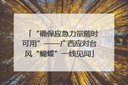 “确保应急力量随时可用”——广西应对台风“蝴蝶”一线见闻