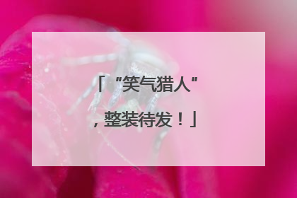 “笑气猎人”，整装待发！