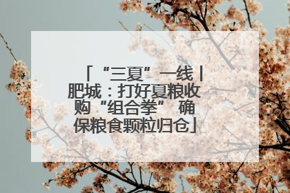 “三夏”一线丨肥城：打好夏粮收购“组合拳” 确保粮食颗粒归仓