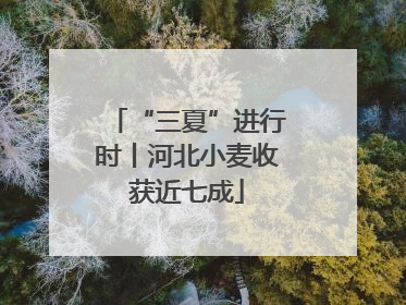 “三夏”进行时丨河北小麦收获近七成
