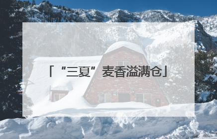“三夏”麦香溢满仓