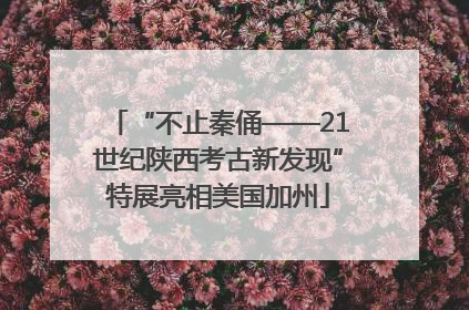 “不止秦俑——21世纪陕西考古新发现”特展亮相美国加州