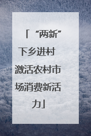 “两新”下乡进村 激活农村市场消费新活力