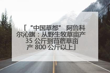 “中国草都” 阿鲁科尔沁旗：从野生牧草亩产 35 公斤到苜蓿草亩产 800 公斤以上
