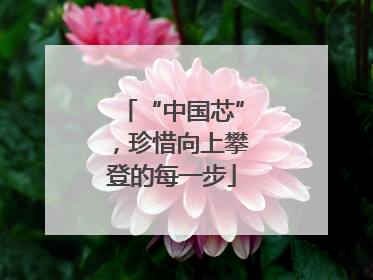 “中国芯”，珍惜向上攀登的每一步