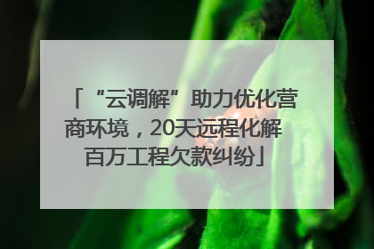 “云调解”助力优化营商环境，20天远程化解百万工程欠款纠纷