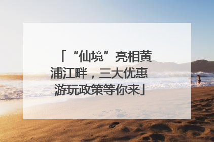 “仙境”亮相黄浦江畔，三大优惠游玩政策等你来