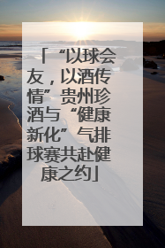 “以球会友，以酒传情”贵州珍酒与“健康新化”气排球赛共赴健康之约
