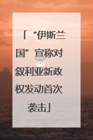 “伊斯兰国”宣称对叙利亚新政权发动首次袭击