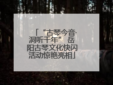 “古琴今音·洞听千年” 岳阳古琴文化快闪活动惊艳亮相