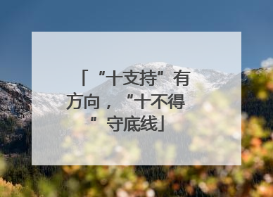 “十支持”有方向，“十不得”守底线