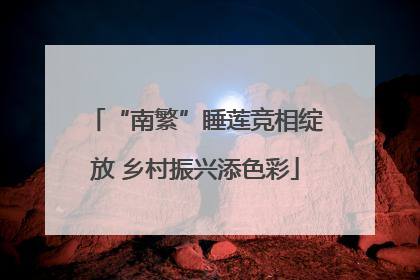 “南繁”睡莲竞相绽放 乡村振兴添色彩