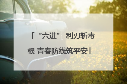 “六进” 利刃斩毒根 青春防线筑平安