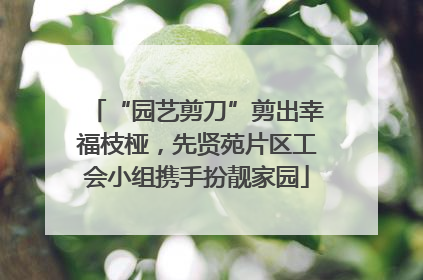 “园艺剪刀”剪出幸福枝桠，先贤苑片区工会小组携手扮靓家园