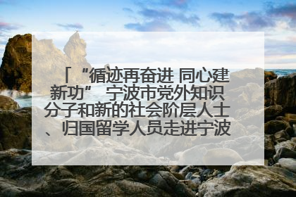 “循迹再奋进 同心建新功” 宁波市党外知识分子和新的社会阶层人士、归国留学人员走进宁波舟山港穿山港区