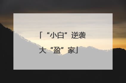 “小白”逆袭大“盈”家