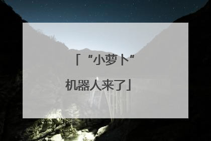 “小萝卜”机器人来了