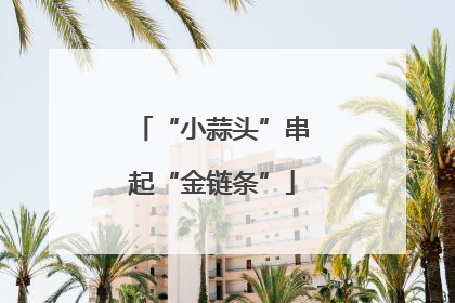 “小蒜头”串起“金链条”