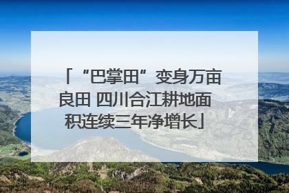“巴掌田”变身万亩良田 四川合江耕地面积连续三年净增长