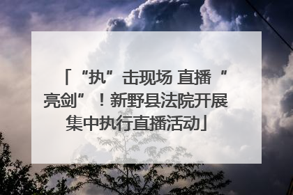 “执”击现场 直播“亮剑”！新野县法院开展集中执行直播活动