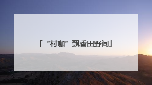 “村咖”飘香田野间