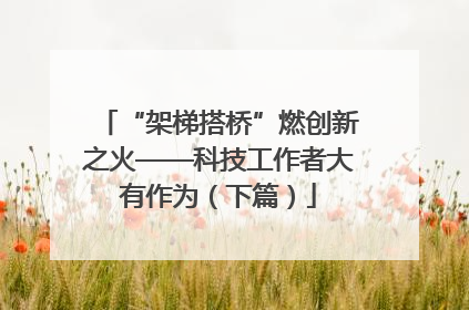 “架梯搭桥”燃创新之火——科技工作者大有作为（下篇）