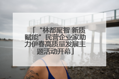 “林都聚智 新质赋能”民营企业家助力伊春高质量发展主题活动开幕