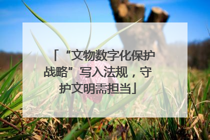 “文物数字化保护战略”写入法规，守护文明需担当