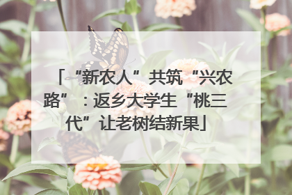 “新农人”共筑“兴农路”：返乡大学生“桃三代”让老树结新果
