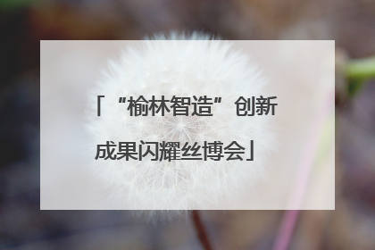 “榆林智造”创新成果闪耀丝博会