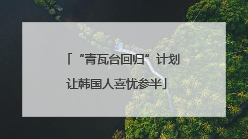 “青瓦台回归”计划让韩国人喜忧参半