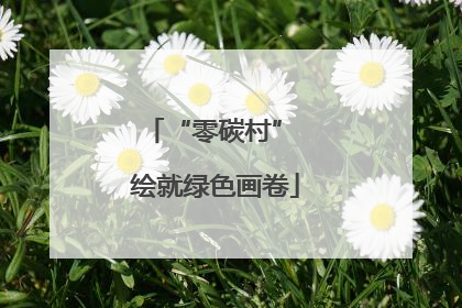 “零碳村” 绘就绿色画卷