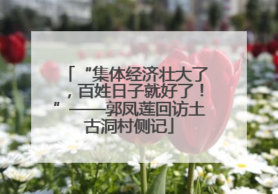 “集体经济壮大了，百姓日子就好了！”——郭凤莲回访土古洞村侧记
