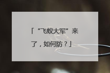 “飞蚁大军”来了，如何防？