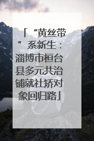 “黄丝带”系新生：淄博市桓台县多元共治铺就社矫对象回归路