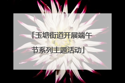 玉塘街道开展端午节系列主题活动