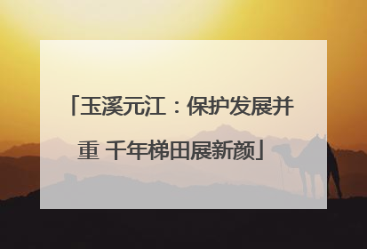 玉溪元江：保护发展并重 千年梯田展新颜