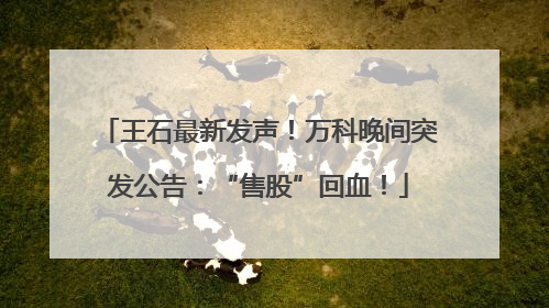 王石最新发声！万科晚间突发公告：“售股”回血！