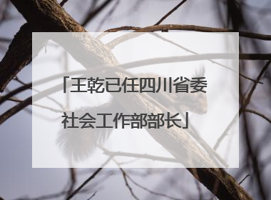 王乾已任四川省委社会工作部部长