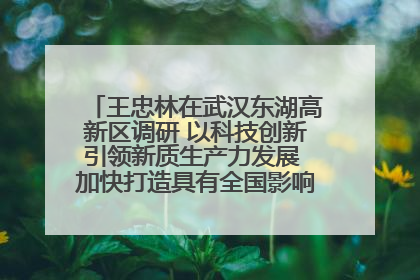 王忠林在武汉东湖高新区调研 以科技创新引领新质生产力发展 加快打造具有全国影响力的科技创新高地