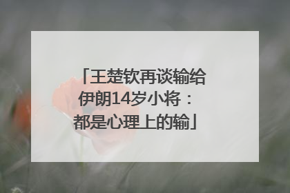 王楚钦再谈输给伊朗14岁小将：都是心理上的输