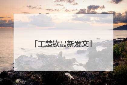 王楚钦最新发文