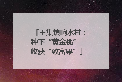 王集镇响水村：种下“黄金桃” 收获“致富果”