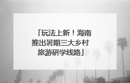 玩法上新！海南推出暑期三大乡村旅游研学线路
